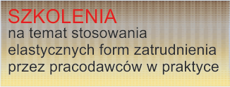 Szkolenia na temat stosowa­nia elasty­cznych form zatrud­nienia przez pra­co­daw­ców w prak­tyce.